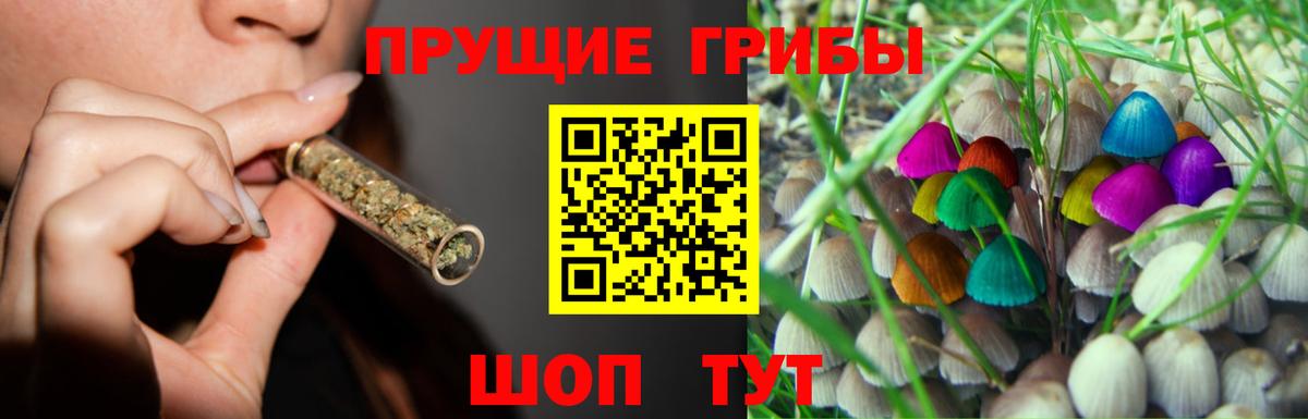 Галлюциногенные грибы MAGIC MUSHROOMS  Вход с VPN  Качканар 